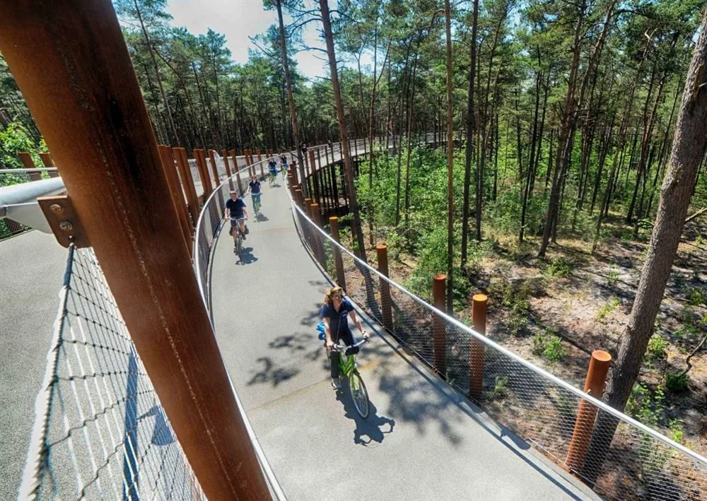 Förhöjd cykelbana på skruvpålar genom skog, Limburg, Belgien
