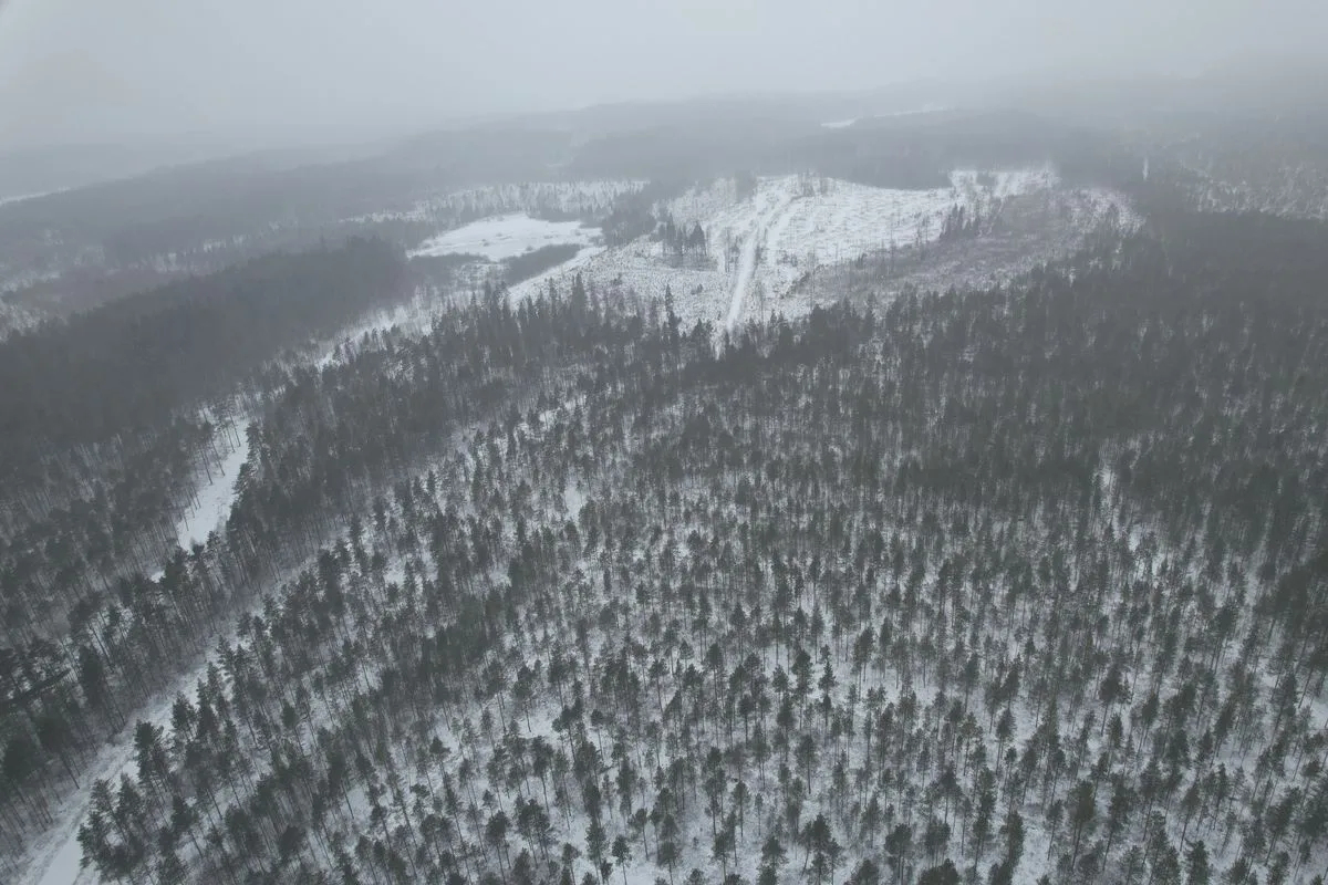Hallanvahti solpark